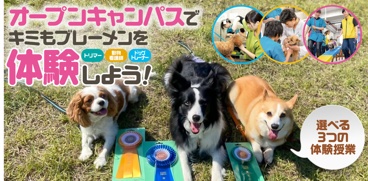 動物 専門 ブレーメン 学校 神戸